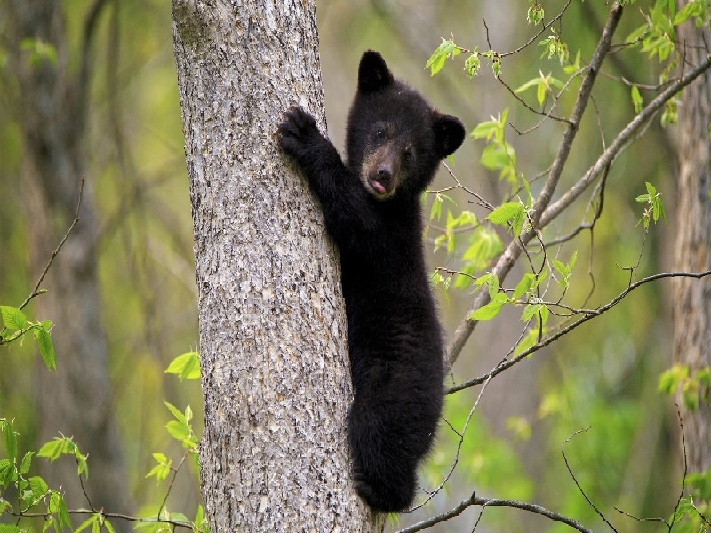 广西可以试管吗试管失败怎么减肥试管泡脚日常